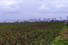 IMG-20230129-WA0005