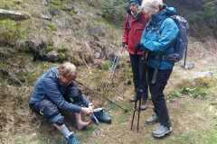 IMG-20210520-WA0025