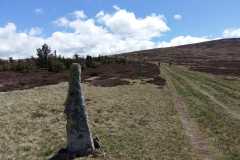 IMG-20210520-WA0027
