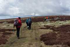 IMG-20210520-WA0028