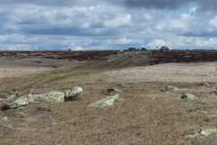 IMG-20210520-WA0030