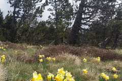 IMG-20210520-WA0031
