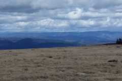IMG-20210520-WA0032