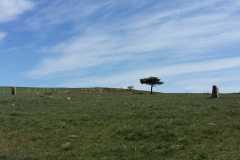 IMG-20210520-WA0033