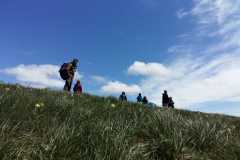 IMG-20210520-WA0034