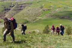 IMG-20210520-WA0036