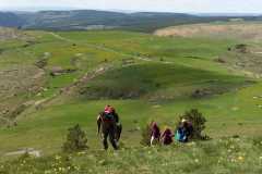 IMG-20210520-WA0037