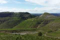 IMG-20210520-WA0038