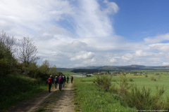 DSC02398