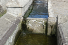 DSC02403