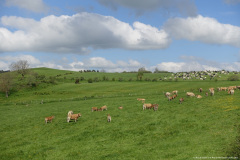 DSC02406