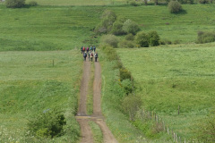 DSC02413
