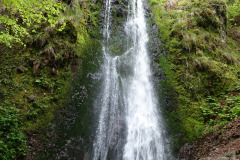DSC02437