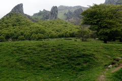 DSC02448
