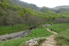DSC02450