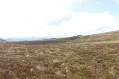 DSC02458