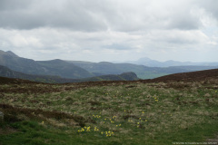 DSC02462