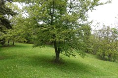 DSC02493