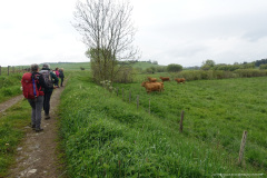 DSC02529