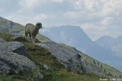 Aussois 2018 27