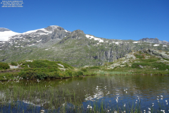 DSC04095