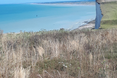 Baie de Somme 2018 07
