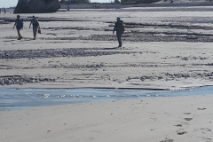 Baie de Somme 2018 11