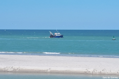 Baie de Somme 2018 12