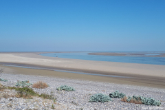 Baie de Somme 2018 14
