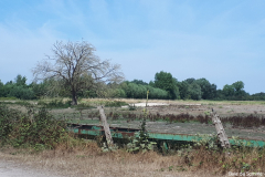 Baie de Somme 2018 20