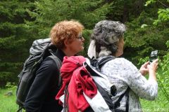 Belledonne04
