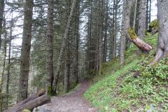 Belledonne08