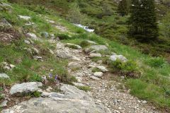 Belledonne11