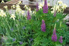 Belledonne30