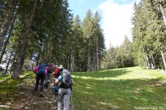 Belledonne36