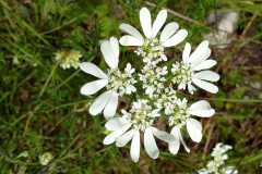 IMG-20210522-WA0000