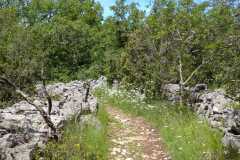 IMG-20210522-WA0001
