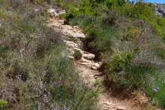 IMG-20210524-WA0002