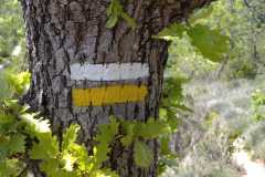 IMG-20210524-WA0003