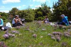 IMG-20210524-WA0004