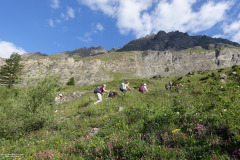 DSC07126