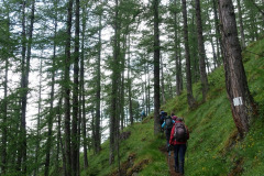 DSC07216