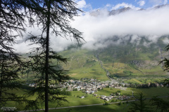 DSC07224