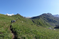 DSC07296