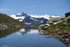 DSC07363