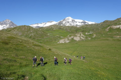 DSC07420