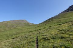 DSC07428