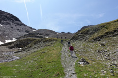 DSC07453