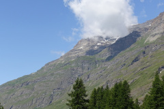 DSC07515