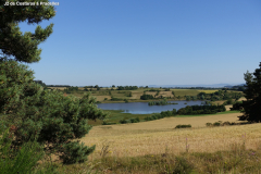 DSC05483